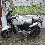 Avatar du membre