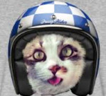 Avatar du membre