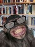 Avatar du membre